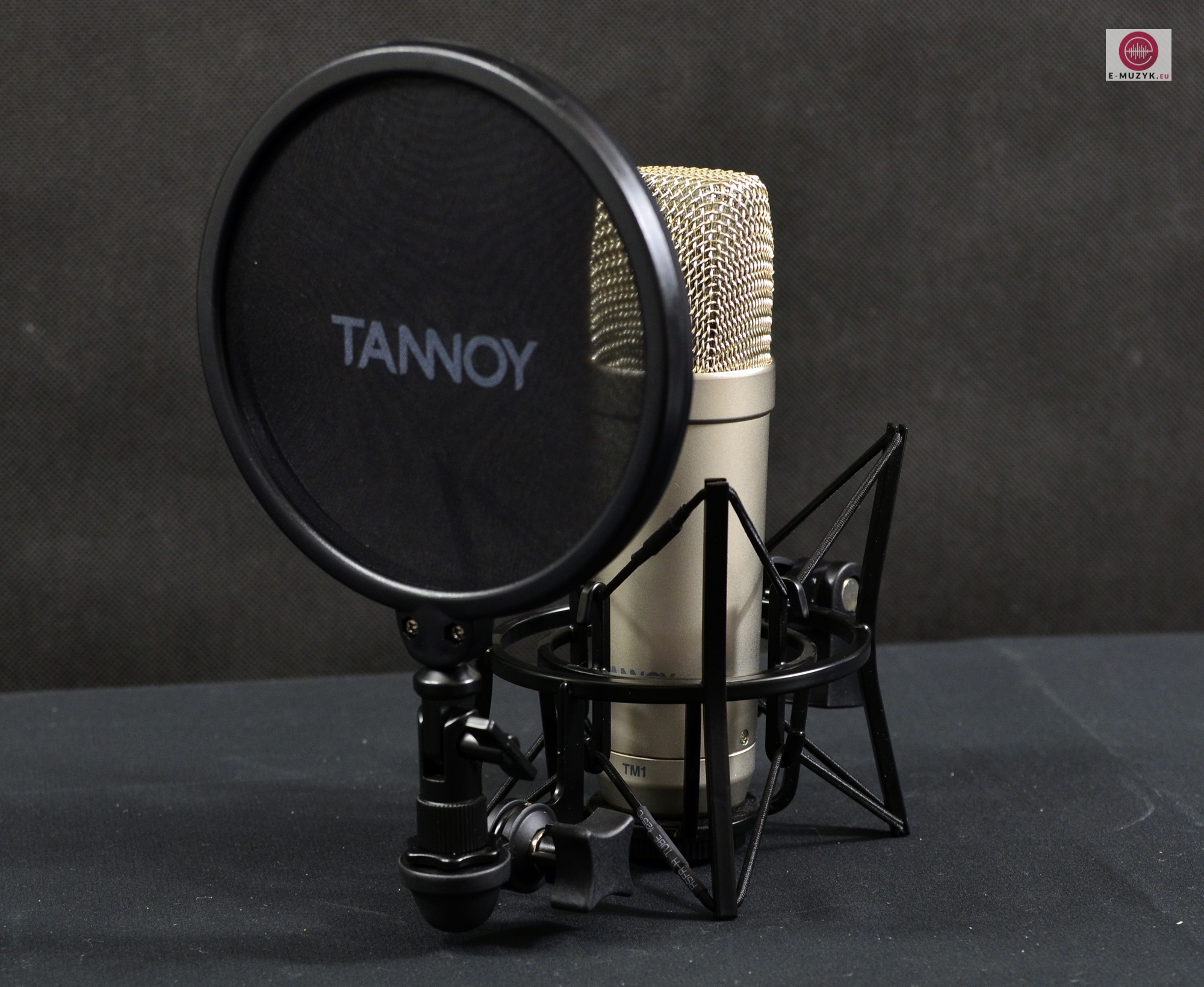 Tannoy TM1 caly front